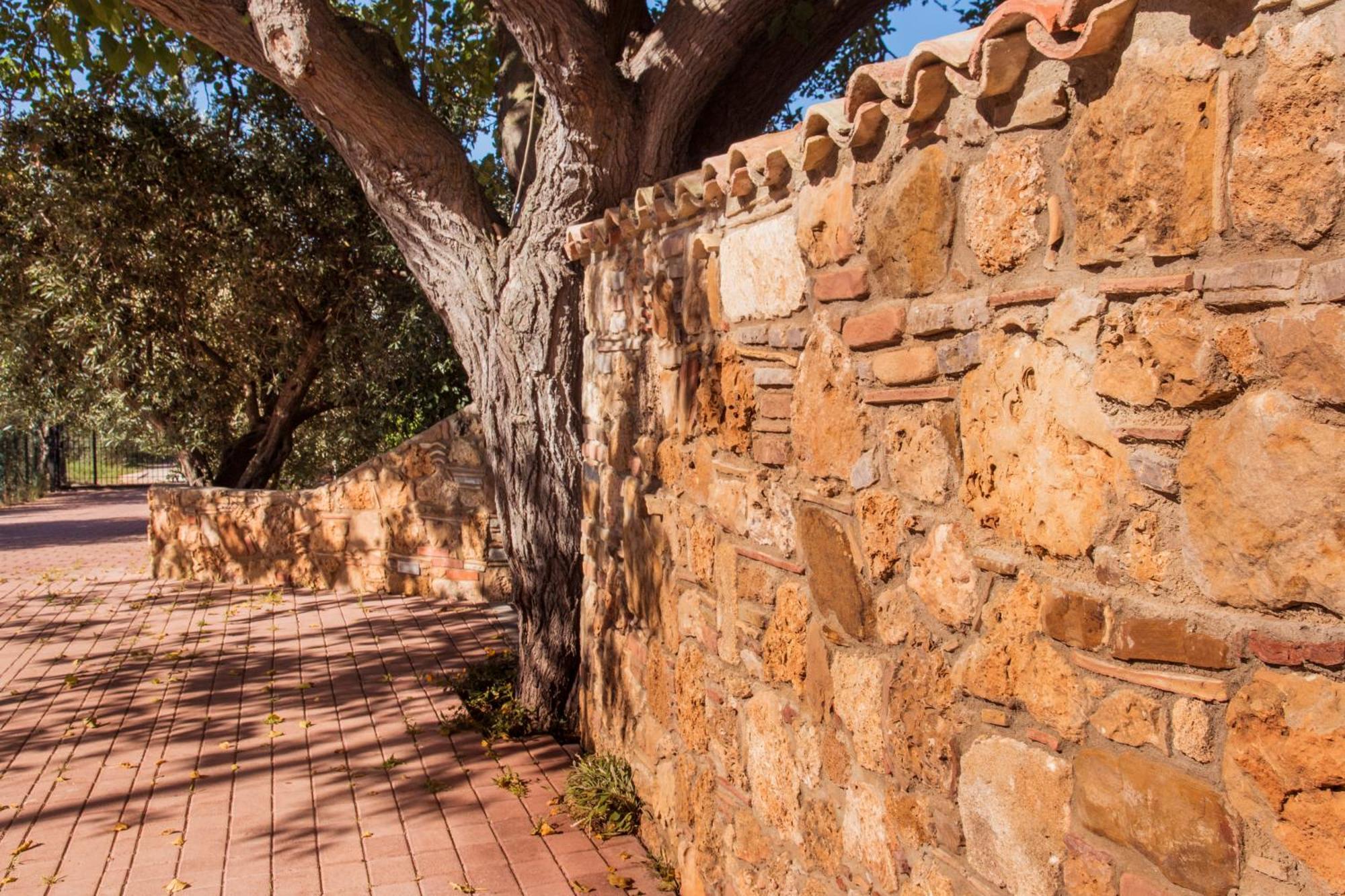 Villa Con Piscina Casale Di Gio Nel Golfo Di Castellammare パルティニーコ エクステリア 写真