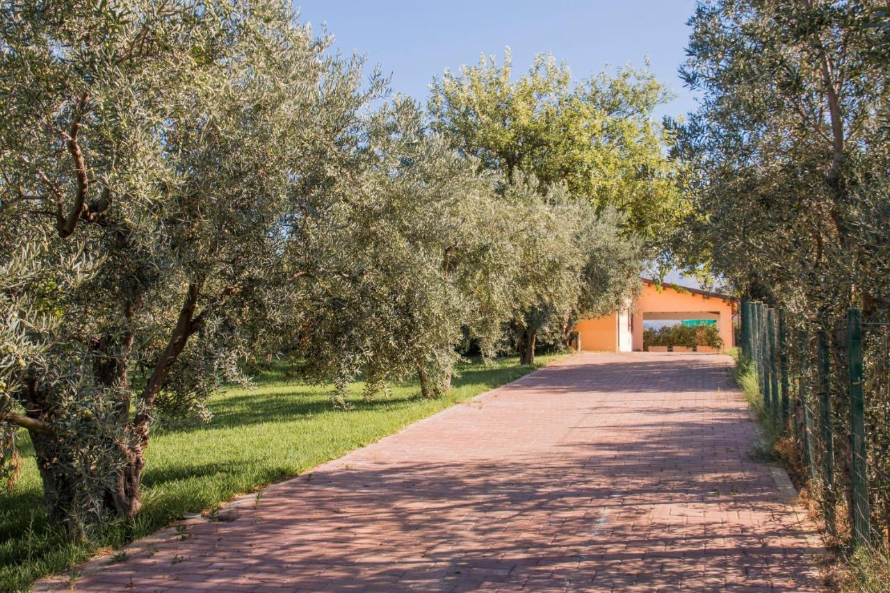 Villa Con Piscina Casale Di Gio Nel Golfo Di Castellammare パルティニーコ エクステリア 写真