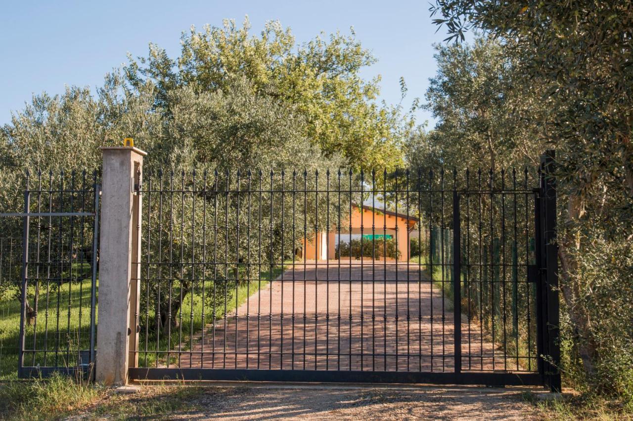 Villa Con Piscina Casale Di Gio Nel Golfo Di Castellammare パルティニーコ エクステリア 写真